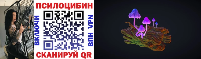 Галлюциногенные грибы Psilocybe Балахна